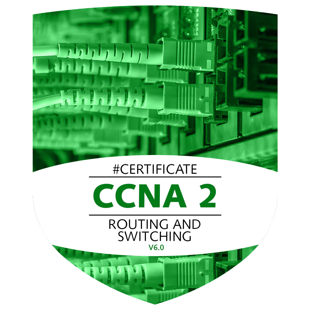 UDI - CCNA II - Routing and Switching Essentials